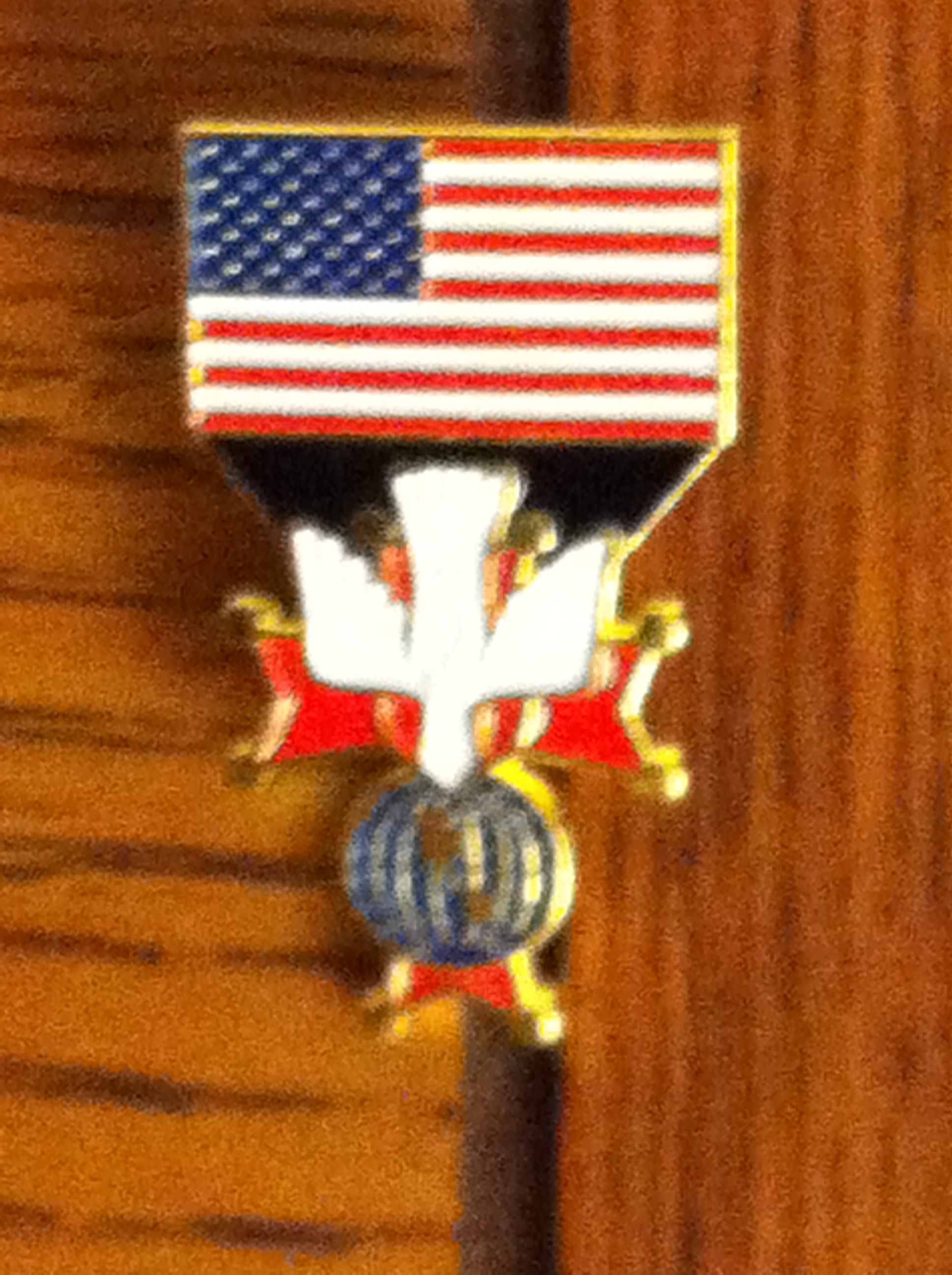 4th Degree USA Flag Pin